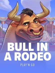 Bull in a Rodeo